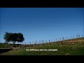 Bettini  Tarmac SL2 commercial 2008