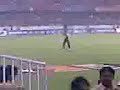 ipl actionssss