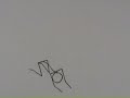 Stickman