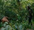 Apocalypto