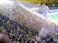 BVB-Schalke, 13.09.08, Scheiße 04!!!
