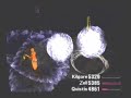 Final Fantasy VIII - Final Boss, Low Level, Part 1/2 Final Fantasy VIII - Final Boss, Low Level, Part 1/2