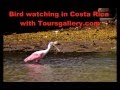 2013 Costa Rica Bird Watching with Toursgallery ...