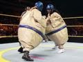 WWE NXT: NXT Rookie Diva Challenge: Last Sumo Standing