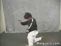 Funny Kung Fu Master