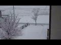 Snow out my window Snow out my window
