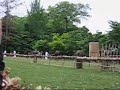 Kurabeumae shinji (horse race)　in Kamigamo shrine 2008