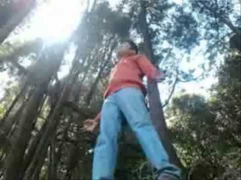 paravashnadenu by ajay dandeli