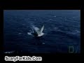 Ghost Ships