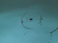 Generic Naruto vs Sasuke Video