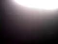 videos de VIDEO 080