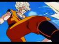 Majin Vegita Versus Goku