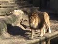 Amsterdam Zoo
