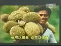 Malaysian National News August 2007