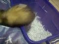Fun box full of shredded paper (vid 12) Fun box full of shredded paper (vid 12)