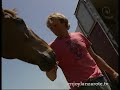 Ride on Horse in Lanzarote (Enjoy Lanzarote TV)