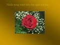 MÀU HOA CÀI ÁO - Nhạc Võ Tá Hân - Thơ Dư Thị Diễm Buồn