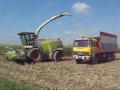 Claas Jaguar 960 - Lo spettacolo è iniziato