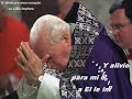 cuanta paz cuanta luz