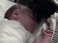 Paco Licks Felix\ Paco Licks Felix\