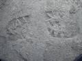 videos de NEWLY APPEARED SHOE PRINTS #1-#4 (1)