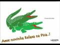 videos de aquecimento  relaxa na pica