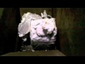 Shredding Purge and Densified EPS