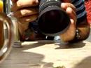 Wasp, Rock Candy, and the Macro Lense