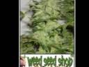 Nirvana-Marijuana.