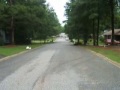 four wheelers four wheelers