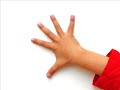 Norovirus Advice Norovirus Advice