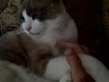 Babey bit my finger - again!