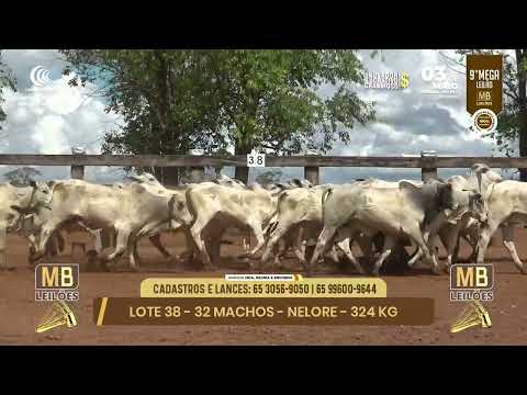 9� MEGA LEIL�O DA MB LEIL�ES