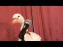 Randy Weasel does...Maria (Blondie) Randy Weasel does...Maria (Blondie)