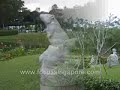 Chinese Garden: An  Evergreen Trip to Ancient China