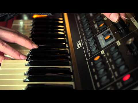 phatties - Quick demonstration of how I use the Poly Chain function on the Phatties to create dubtechno chords and show you how six Moog oscillators in unison sound lik...