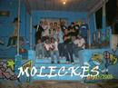 moleckes do fervo + pactos familia-show