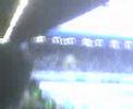 Wednesday Fans At QPR Singing.
