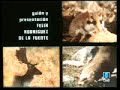 EL  HOMBRE Y LA TIERRA