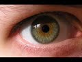 Literal Video - Panic at the Disco - The Only Difference ... Literal Video - Panic at the Disco - The Only Difference ...