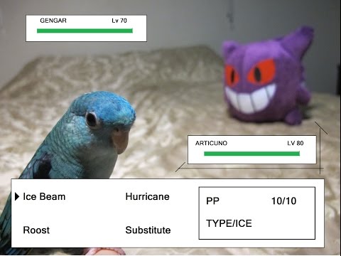 how to pokemon on android