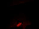 2008.1.26 sleeparchive - krauss@donflex in osaka

sleeparchive am3:11-