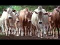 Africa: Lewa Childrens Home - Part II