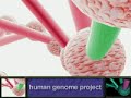 Alpha Centauri Secret Project: The Human Genome Project