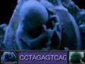 Sid Meier's Alpha Centauri Secret Project: The Human Genome Project