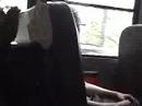 Bus Ride + Amber\ Bus Ride + Amber\