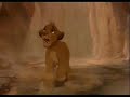 the lion king why oh why/ATC the lion king why oh why/ATC