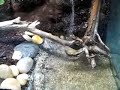 Terrarium