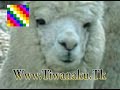 Awati�as - Ayudame Wiracocha