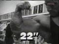 mike-matarazzo